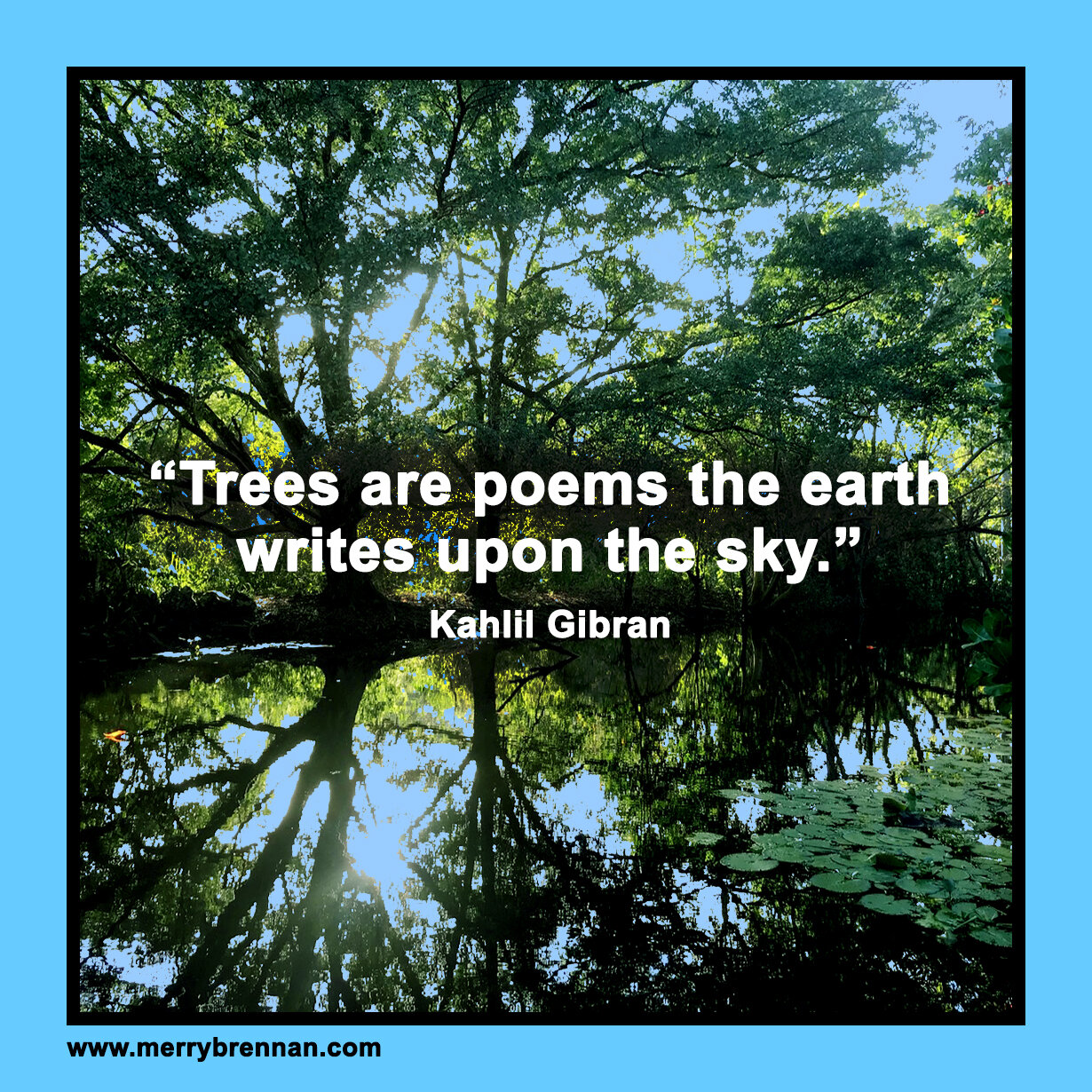 2021Ap30ArborDayKahlil GibranQuote.jpg
