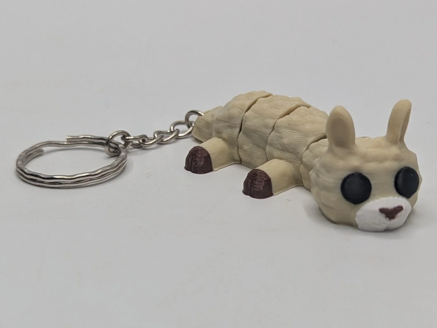Llama1.jpg
