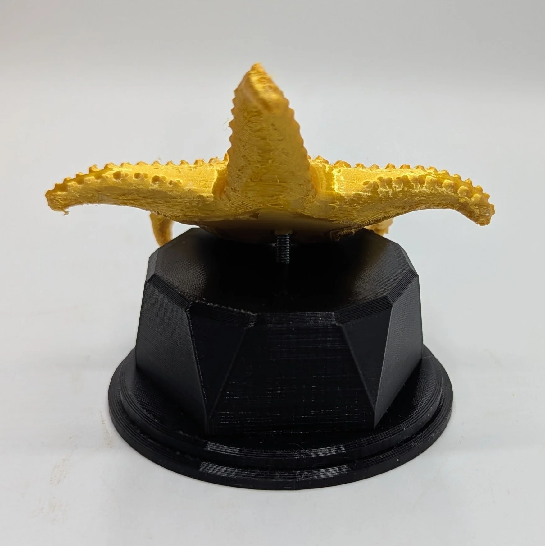 PXL_20251016_220248968 (1).jpg