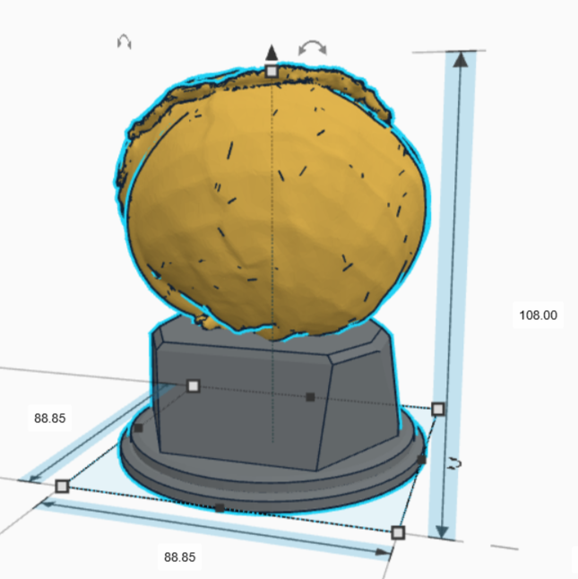 Cabbage Trophy sizes (1).png