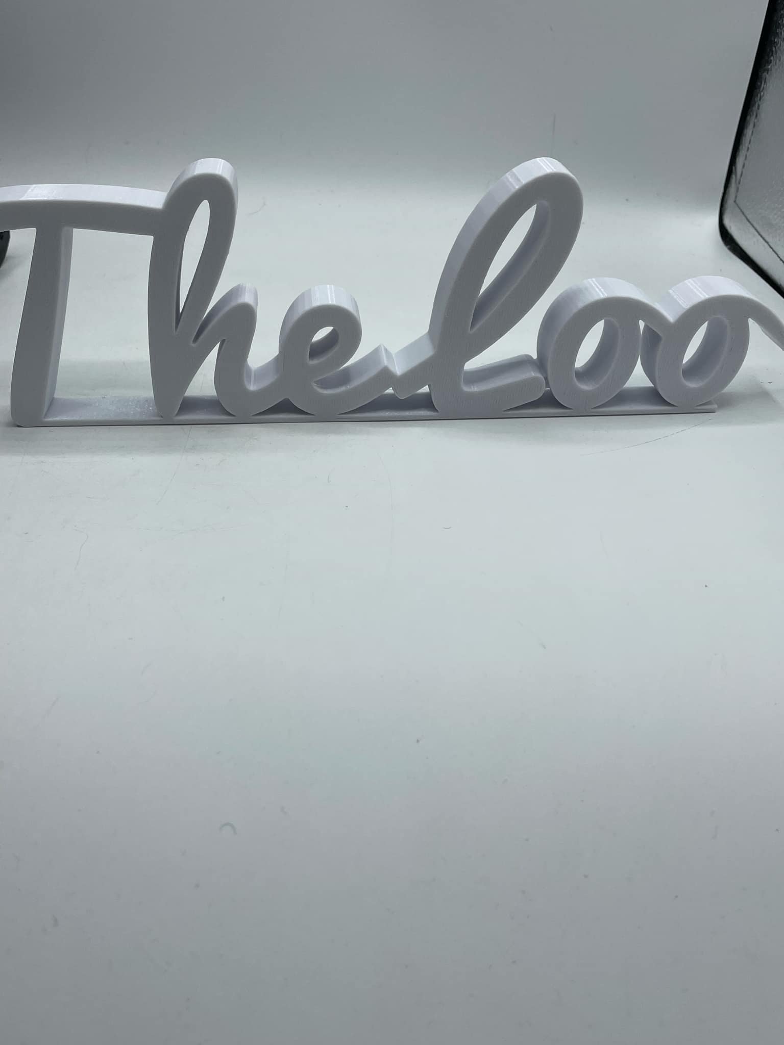 the loo.jpg