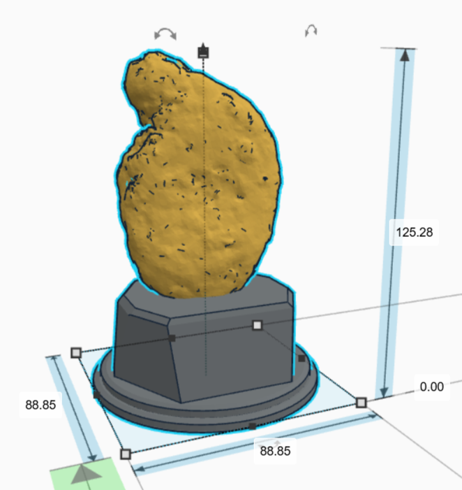Chicken Nugger v3 Trophy sizes.png
