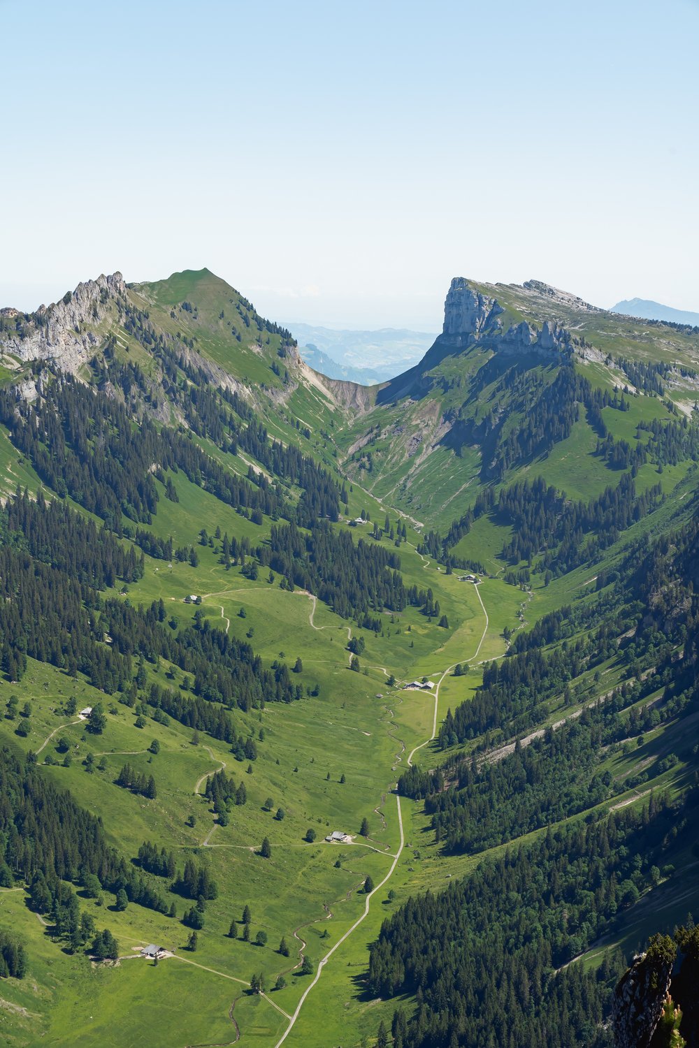 2206_Niederhorn1-2.jpg