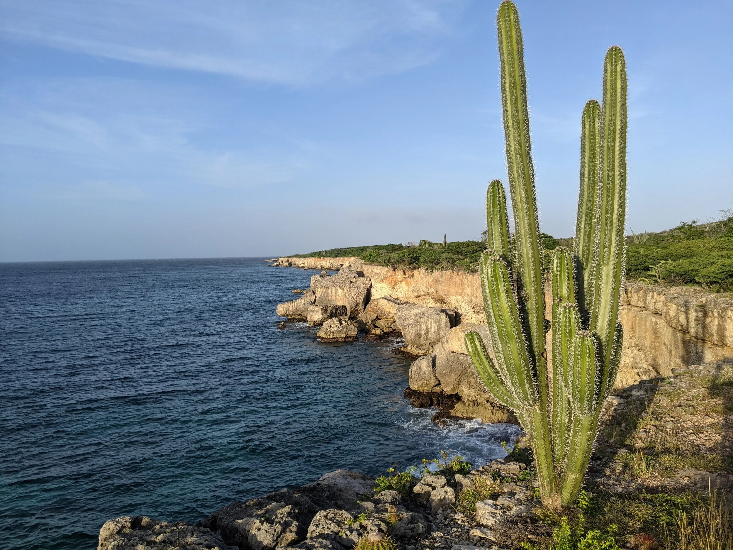 Preserving Beautiful Watamula