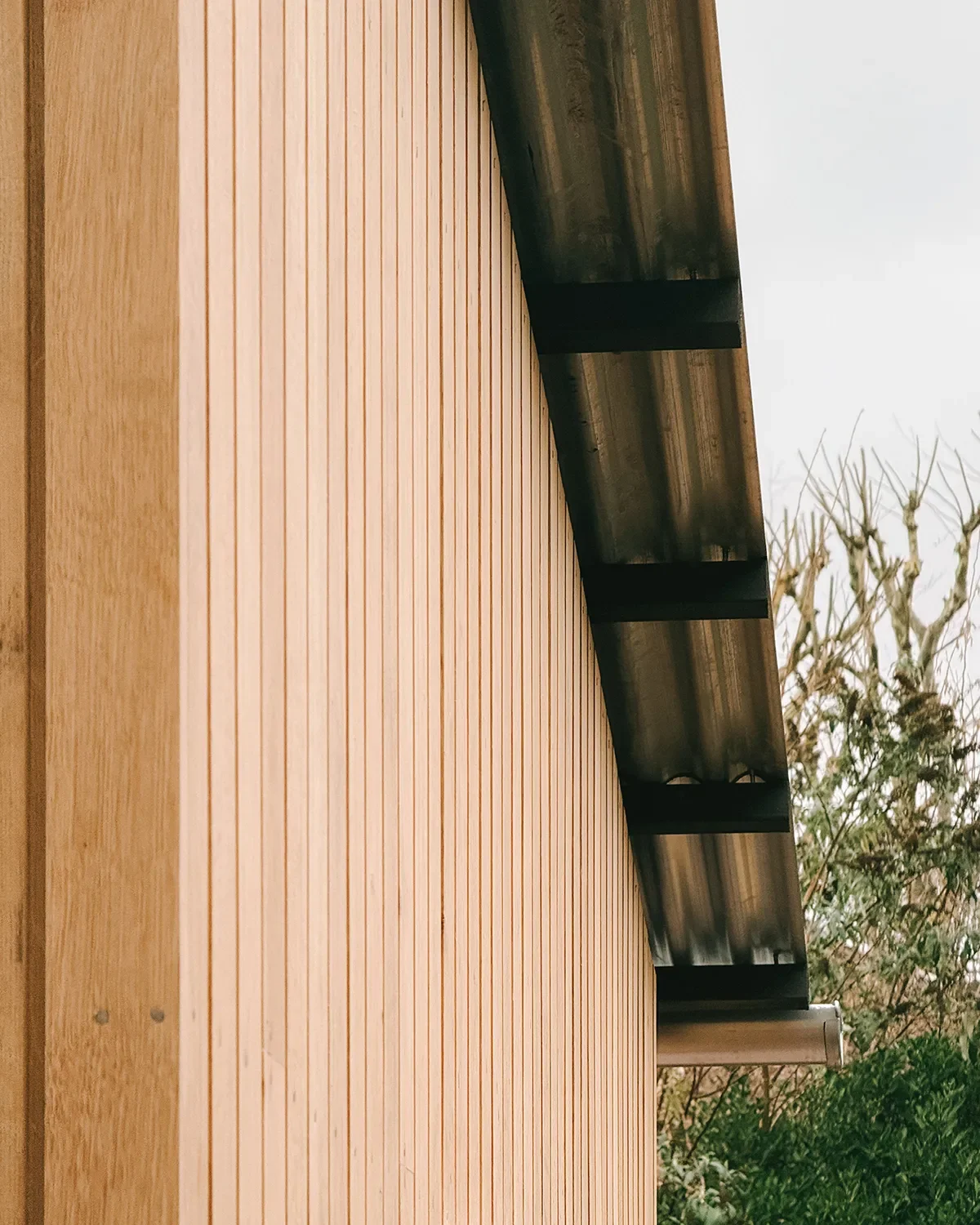 Oak cladding with corrugated galvanised roof cladding © Andy Matthews Studio