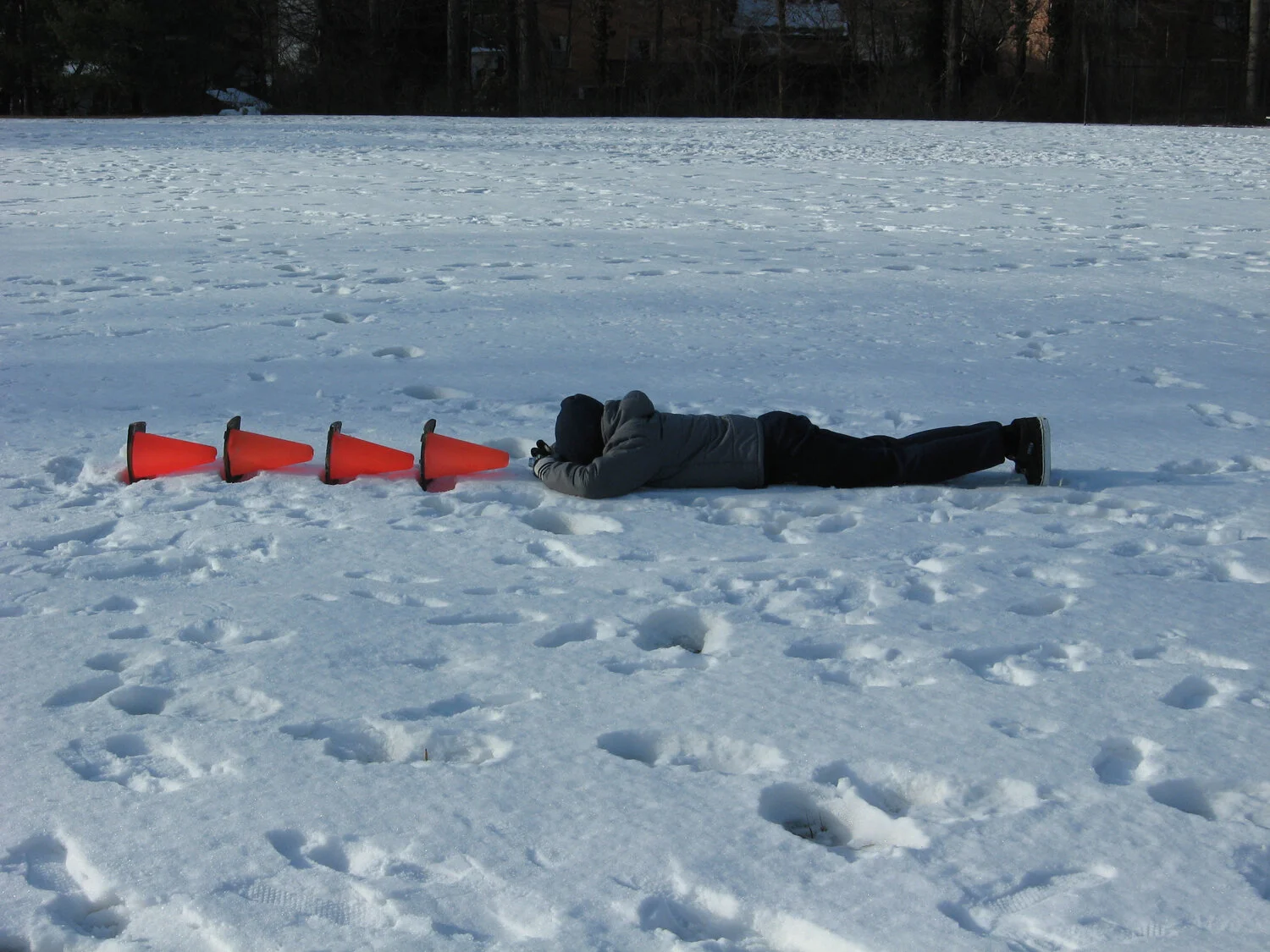 2011 Joanne Miller - 2 copy.jpg
