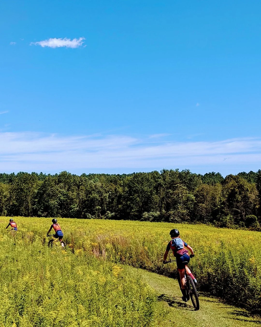 Trails don&rsquo;t tell you where to go&mdash;they invite you to explore.⁠
⁠
That freedom to wander and discover builds something bigger: a real connection to the land&hellip; and a reason to protect it. 🌱⁠
⁠
Happy Earth Day from PICL 💚⁠
⁠
📷️: PIC