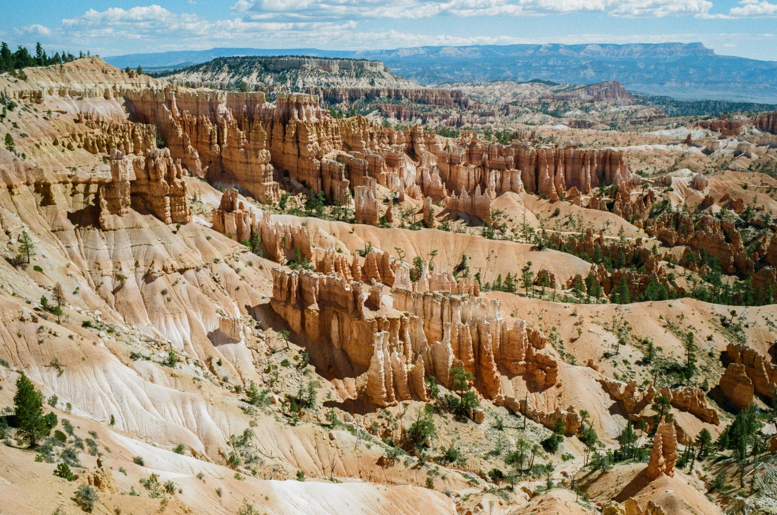 kodak_gold_200_utah_2026-147.jpeg
