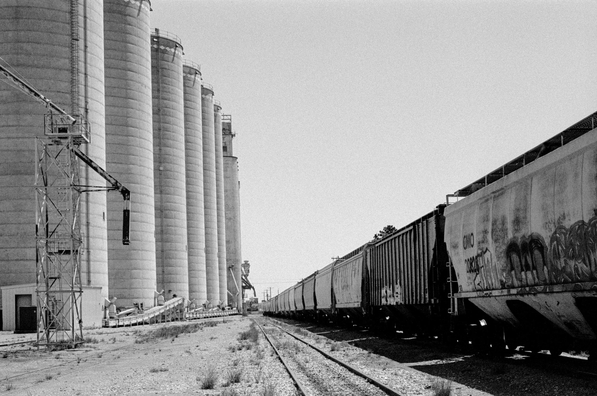 Film scans  - 1 of 33.jpeg