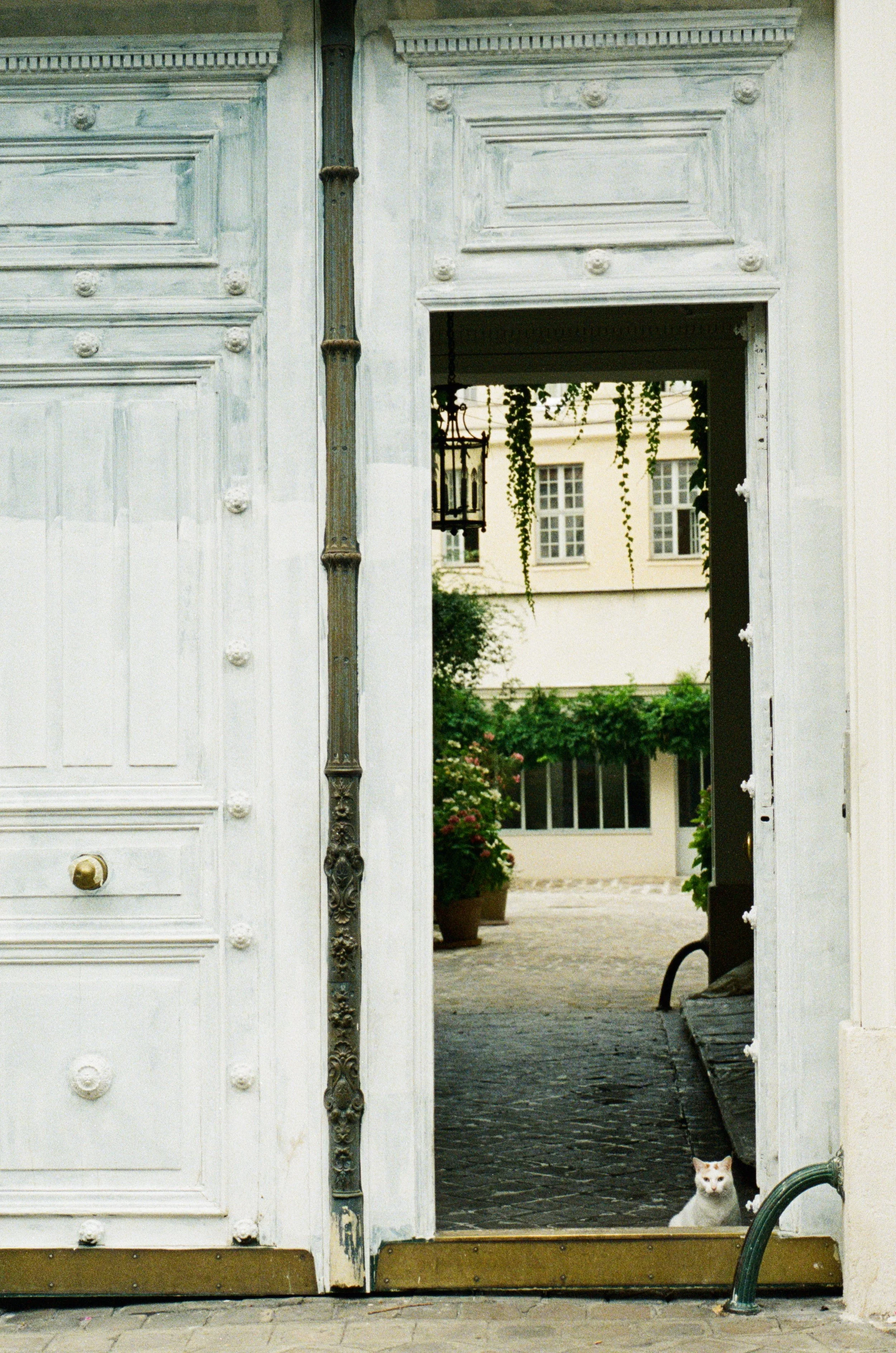 Paris film - 4 of 6.jpeg