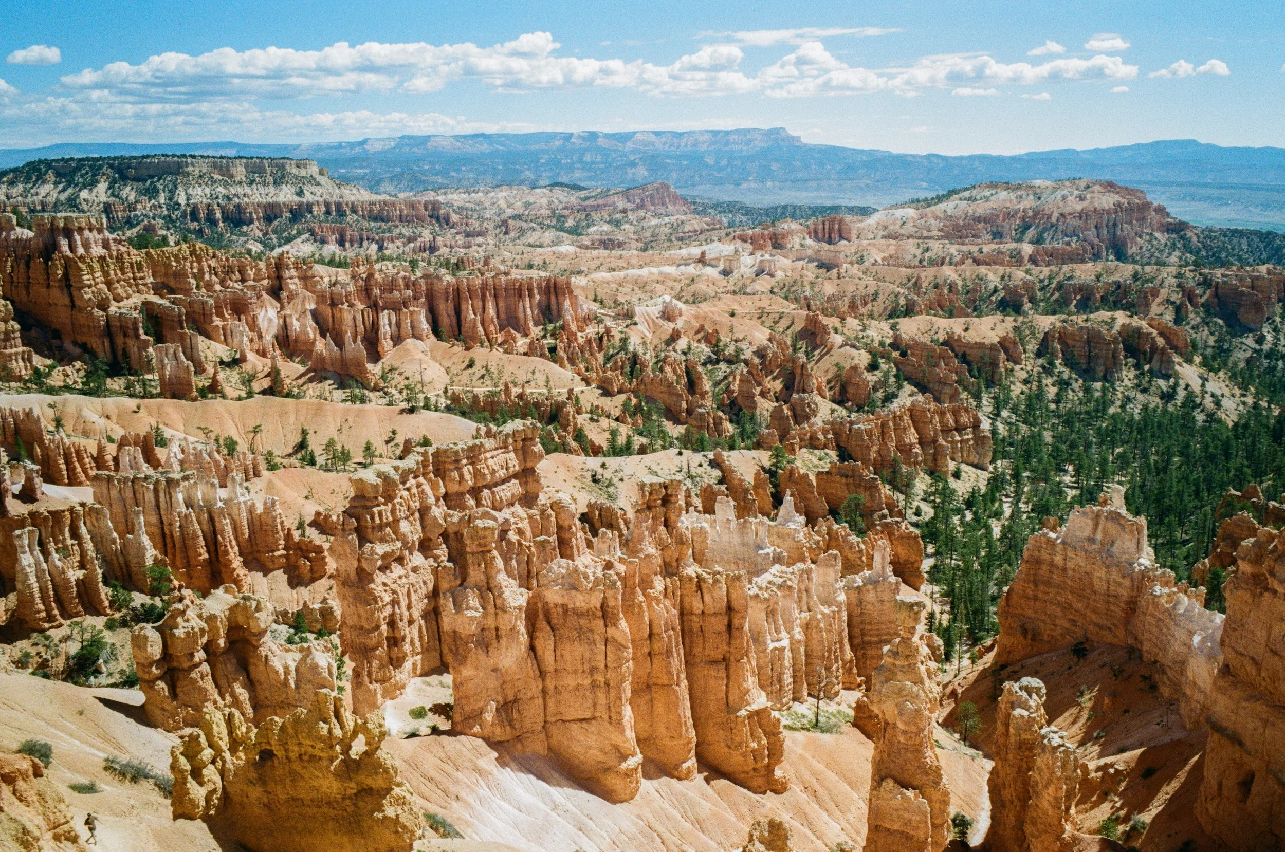 kodak_gold_200_utah_2026-140.jpeg