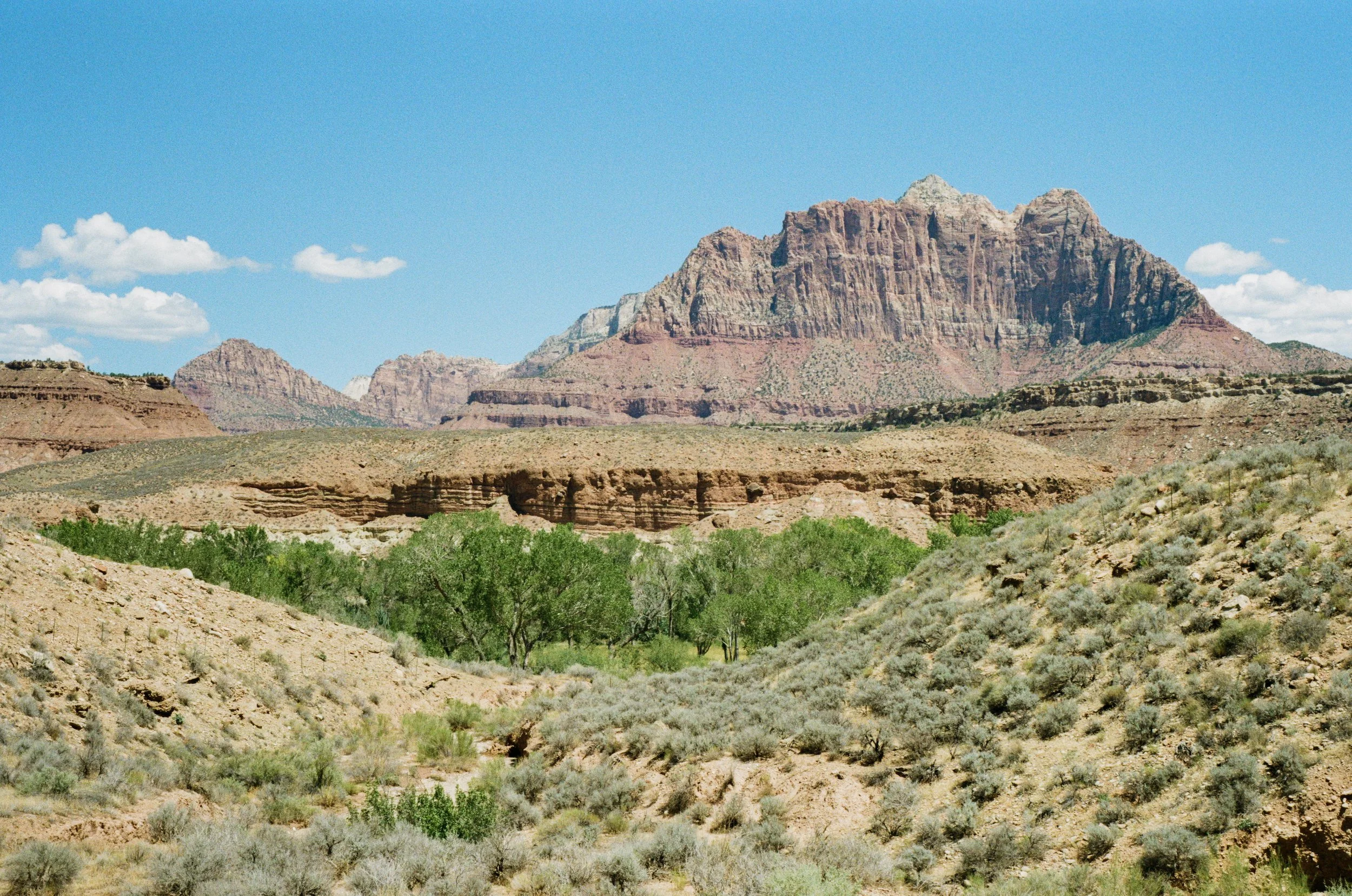 kodak_gold_200_utah_2026-156.jpeg