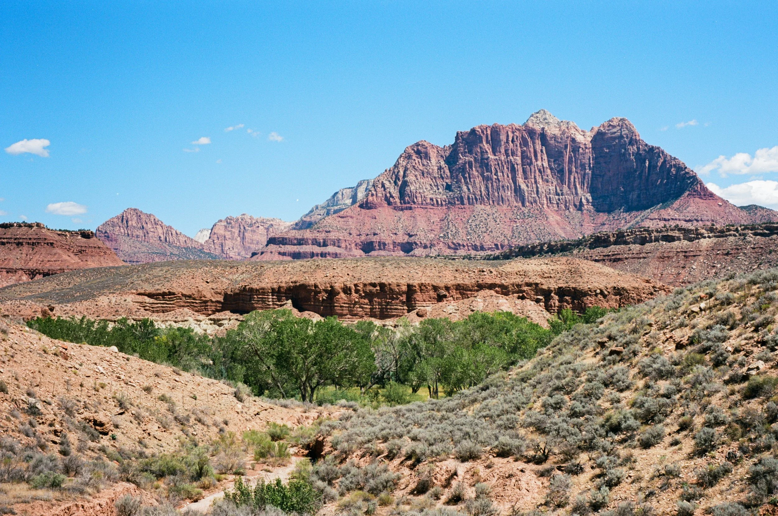 Ektar_100_utah_2026-8.jpeg