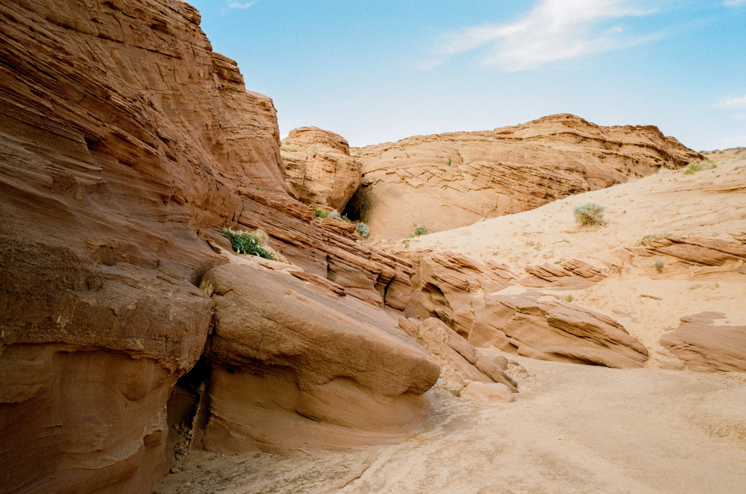 kodak_gold_200_utah_2026-51.jpeg