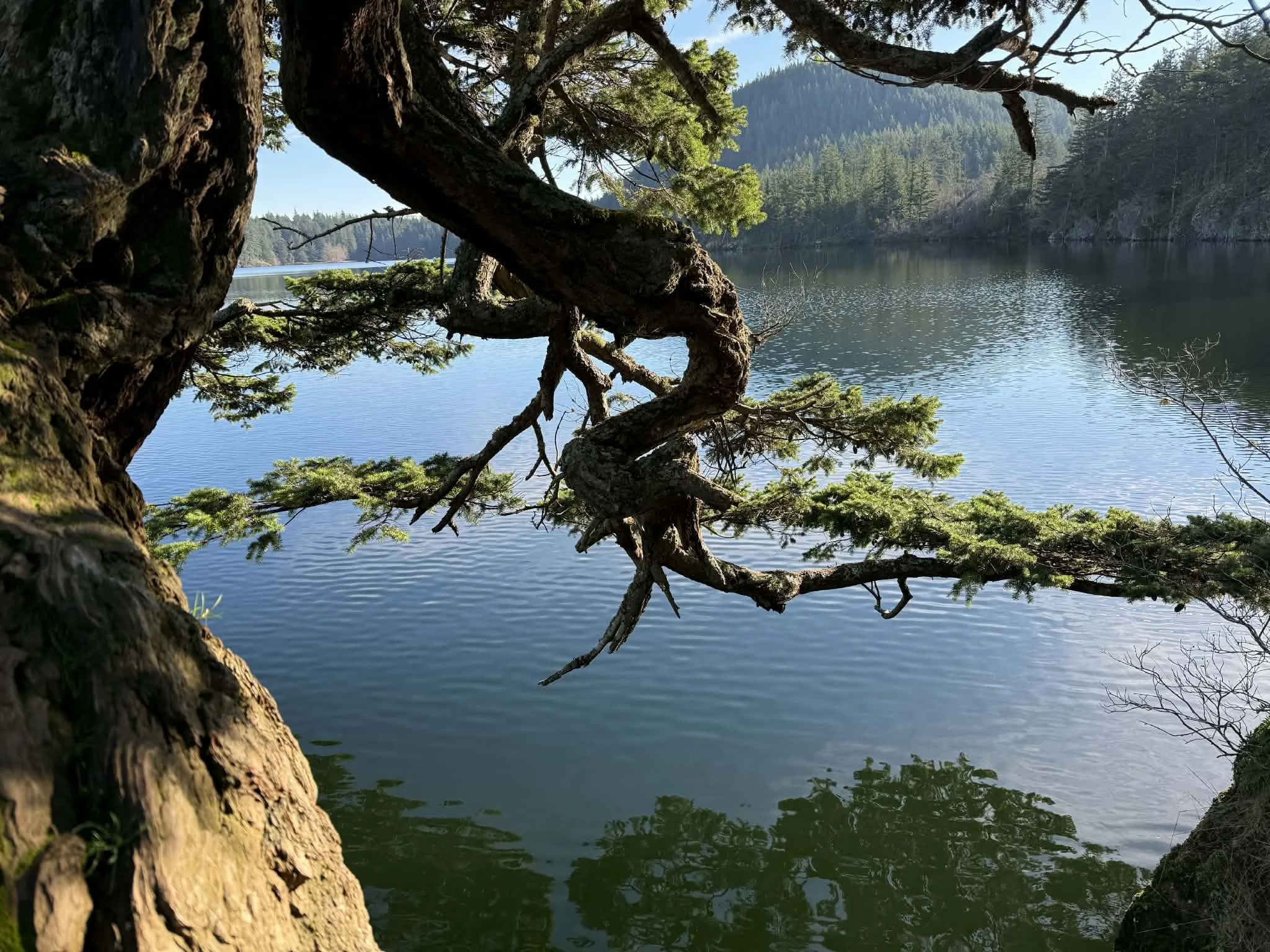 Grounded Participation in a Time of Change