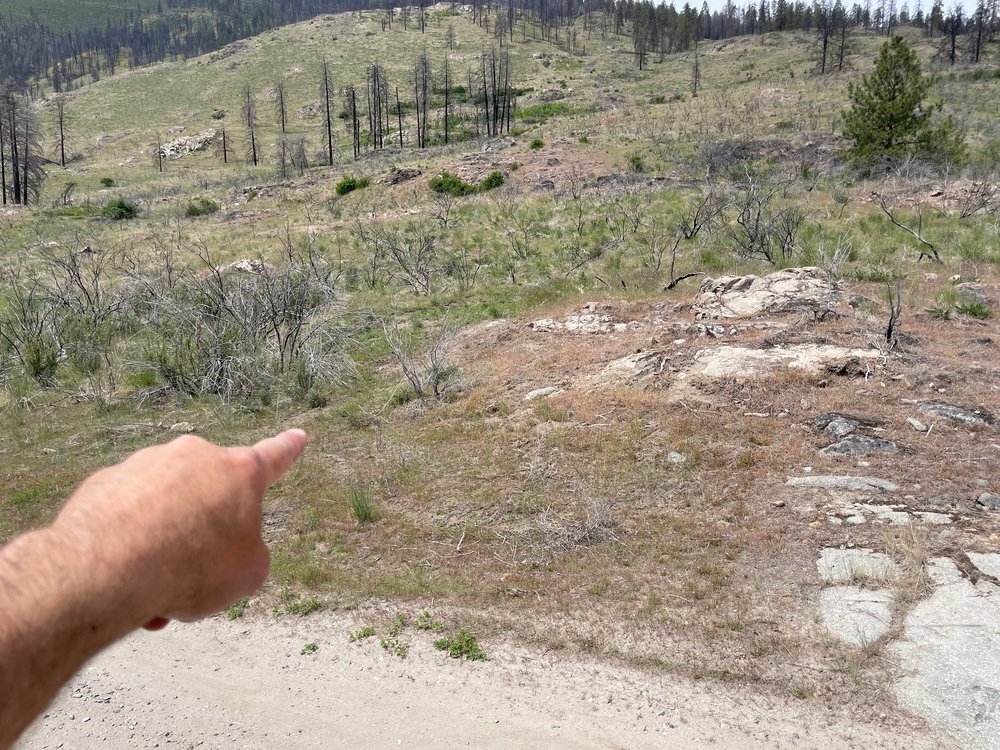 Trail is to left of rock outcropping.
