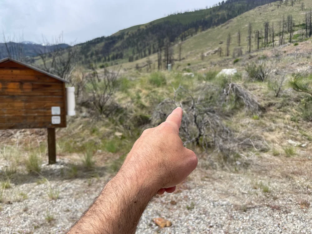 From parking lot, walk to main road.