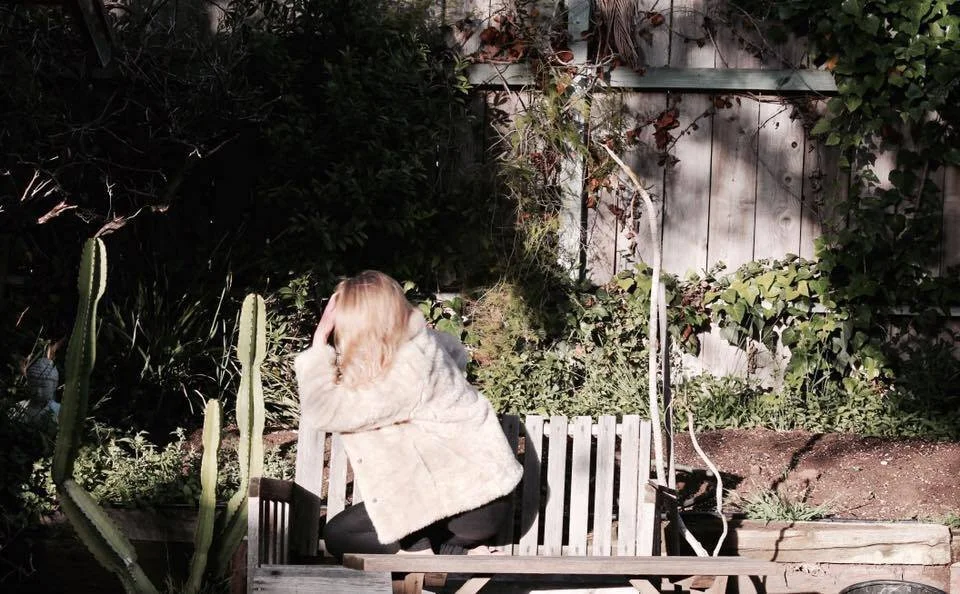 steves garden 2016.jpeg