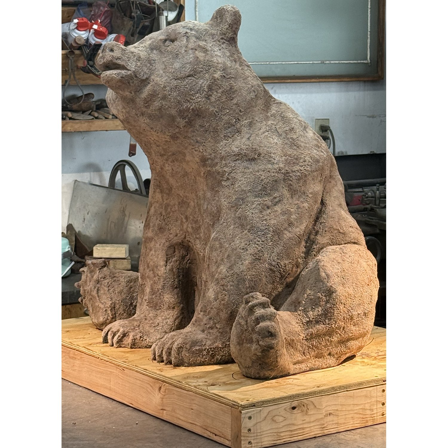 stumped in gallery3.jpg