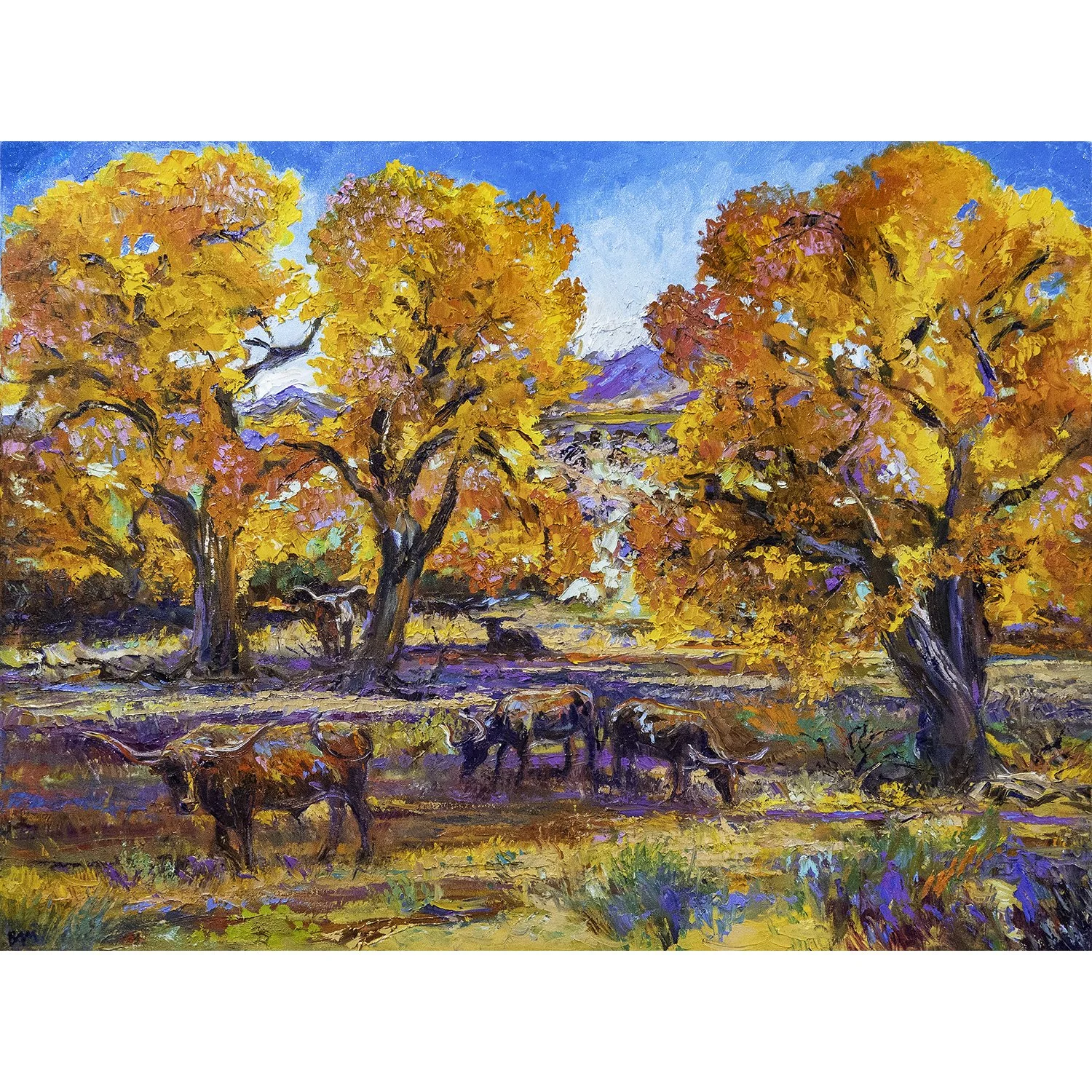 Old Cottonwoods
