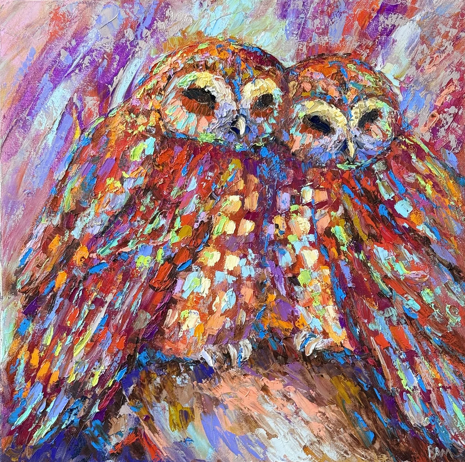 spotted owl siesta-web.jpg