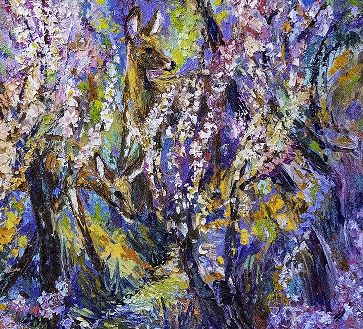 blooming-along-the-acequia-hi-res copy.jpg