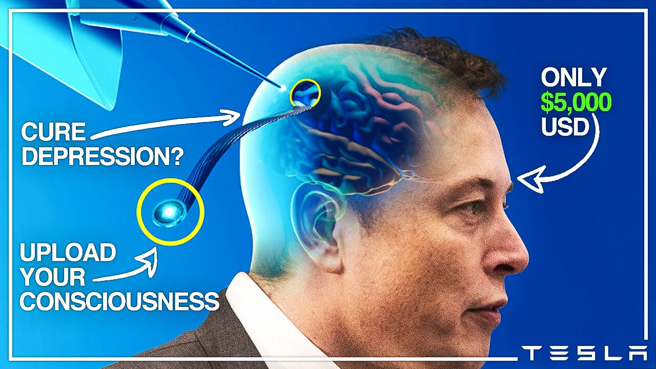 How Neuralink Will Change Humanity The Tesla Space How Neuralink Will Change Humanity The Tesla Space