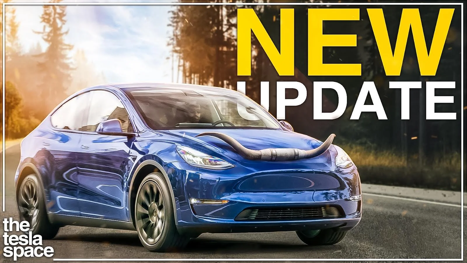 The Texas Made Model Y Update Is Here!