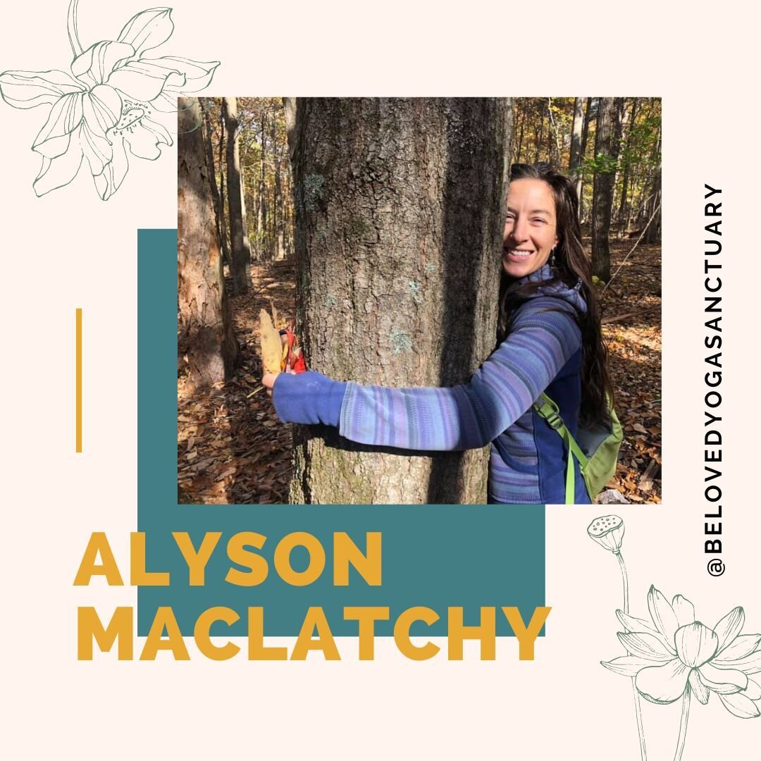 Meet Alyson Maclatchy! @gratefullyrooted

As a teacher, Aly intends to create a safe space that encourages practitioners to have an experience of themselves. Aly received her 200 hour certification through Frog Lotus International Yoga School under V