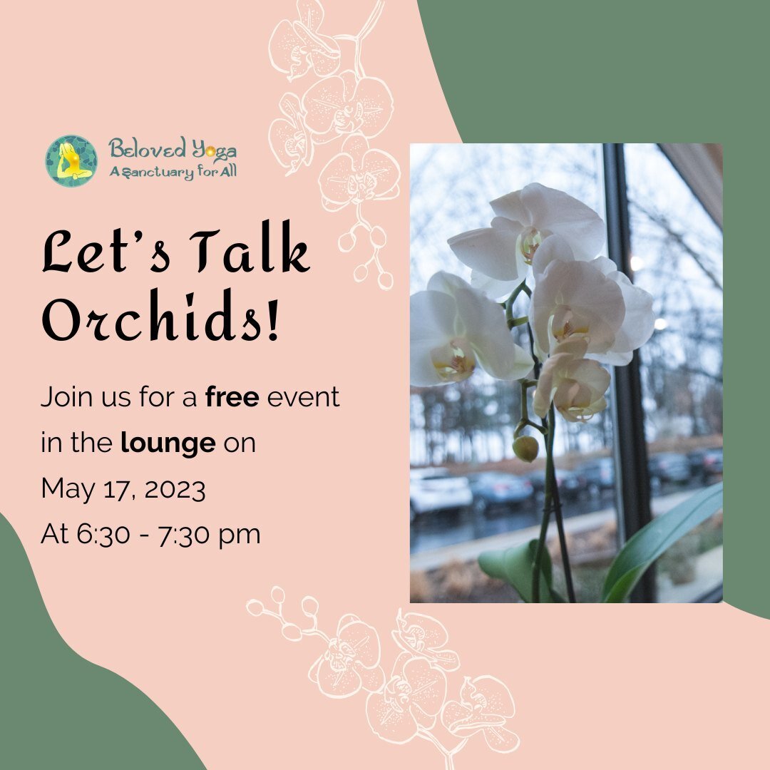 🌸 Join us tomorrow for Let's Talk Orchids, a free event in the Beloved Yoga Lounge! 🌿 Orchid lovers unite as Lisa shares her insights on caring for our beautiful orchids in the Beloved Lounge. We invite you to join the conversation and share your o