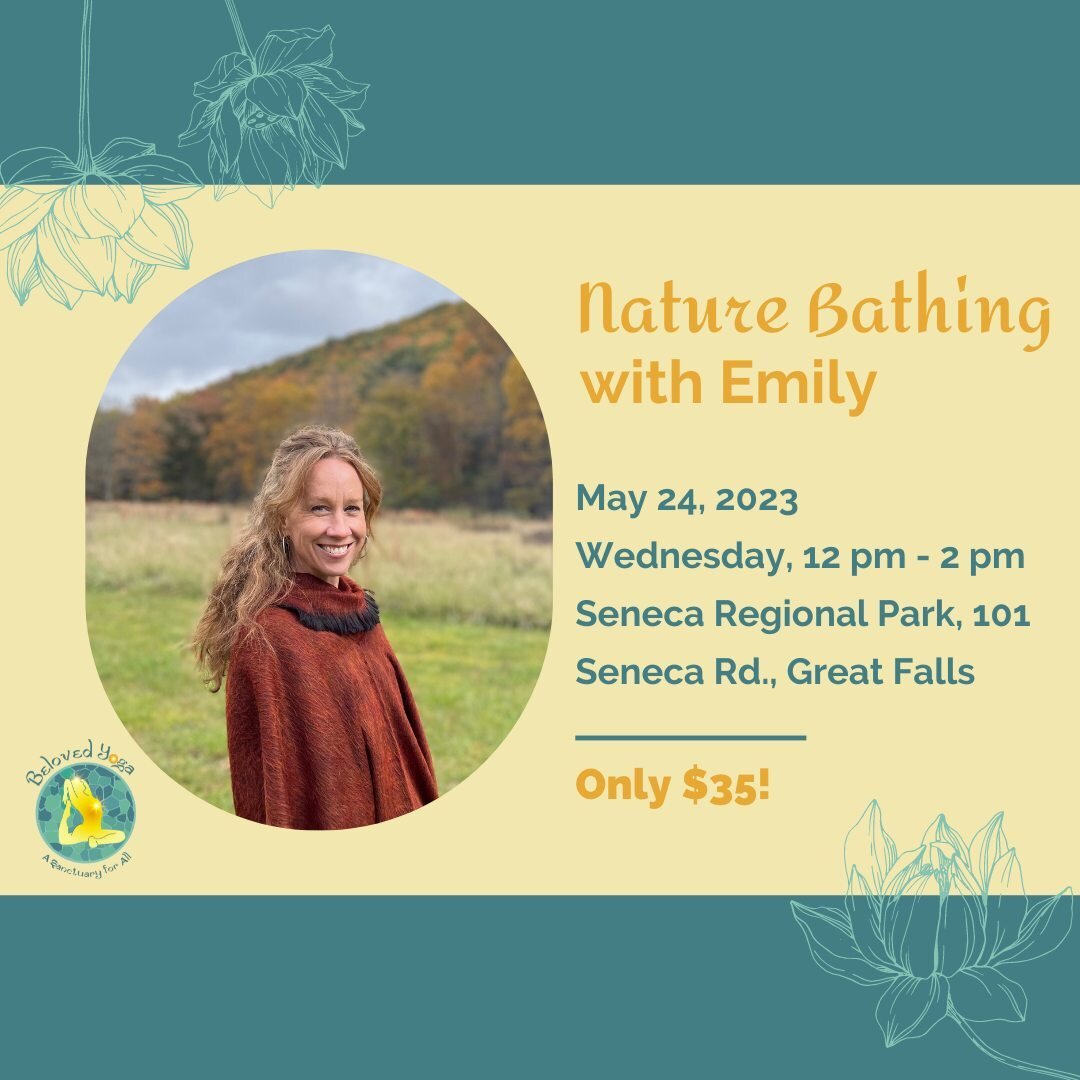 Reconnect with nature and awaken your senses with forest bathing, a restorative sensory exploration hike led by Emily Steiner 🌱

This 2-hour journey includes group sharing and solo time, inviting you to unplug, slow down, and experience the healing 