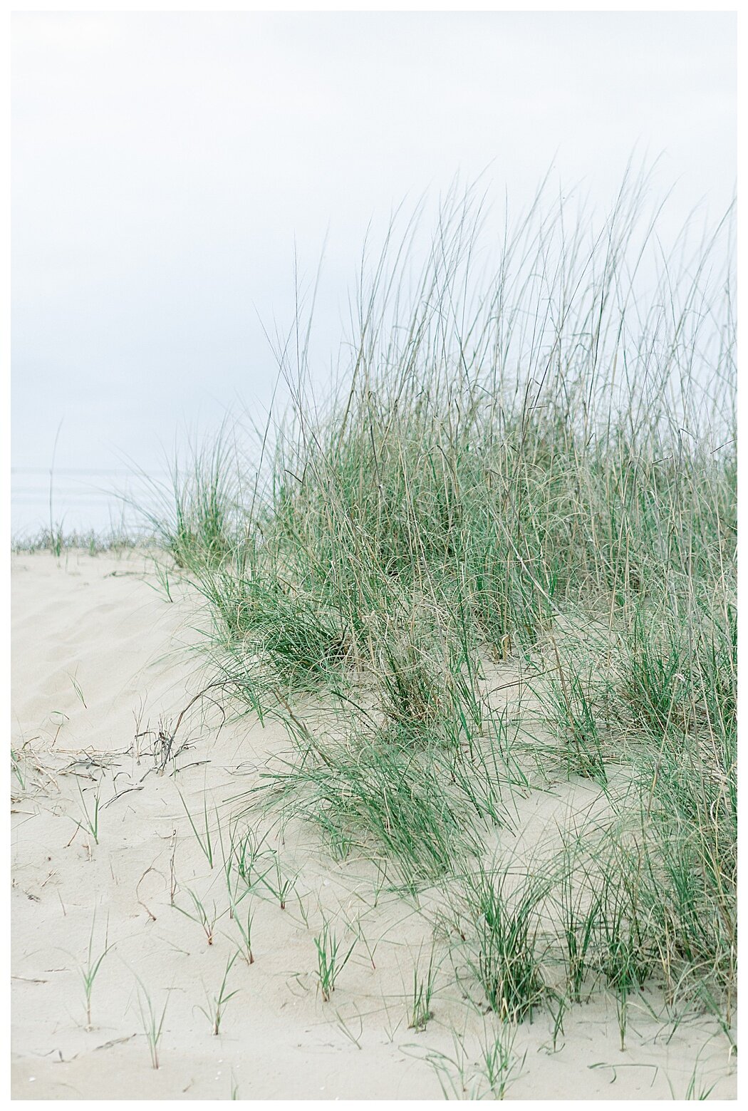 sandbridge-beach-elopement-photographers-3147.jpg