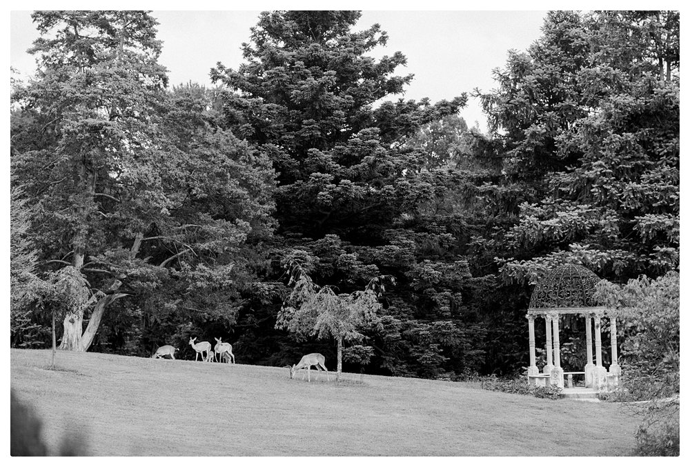 maymont-park-engagement-photos-0023.jpg