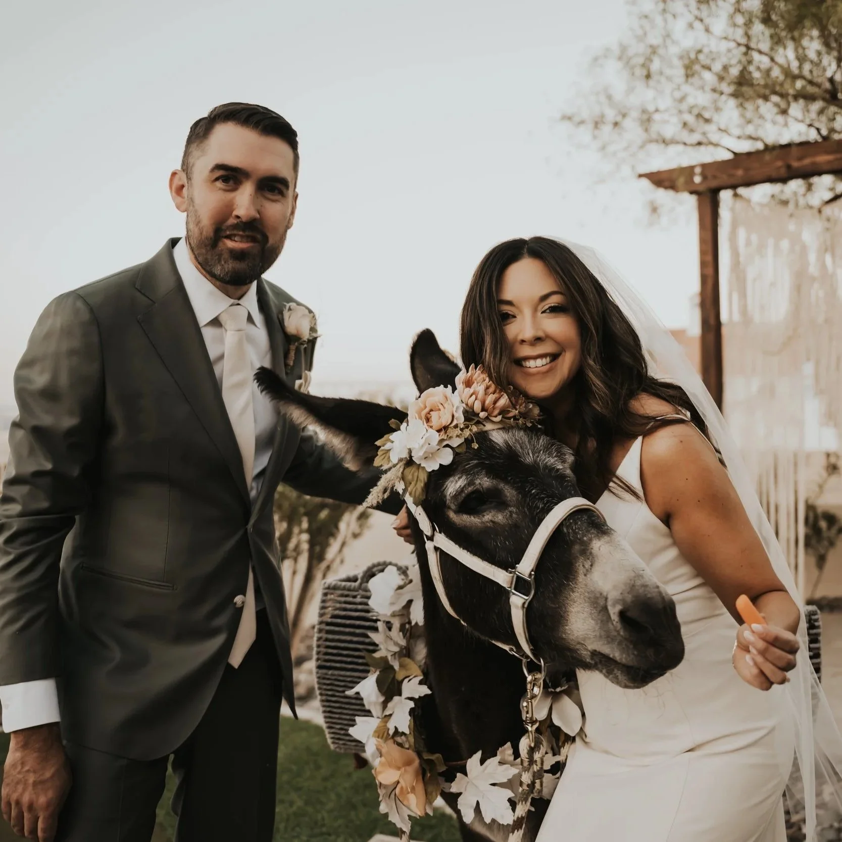 A couple in wedding attire, a groom in a gray suit and a bride in a white dress with a veil, smiling with a donkey decorated with flowers, outdoors during late afternoon or early evening.