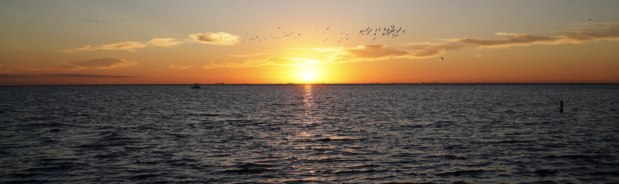 Word for the day:” Leaders, your best days are ahead.”