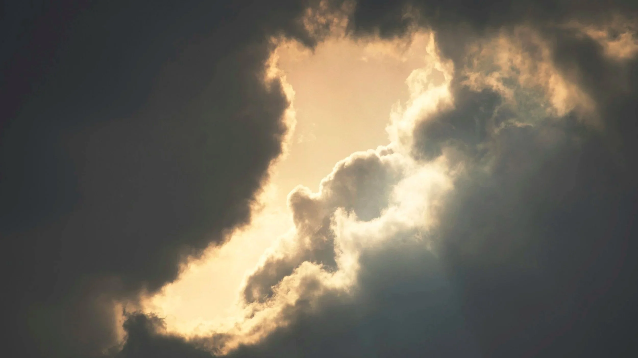 Word for the day: “Divine opportunity.”