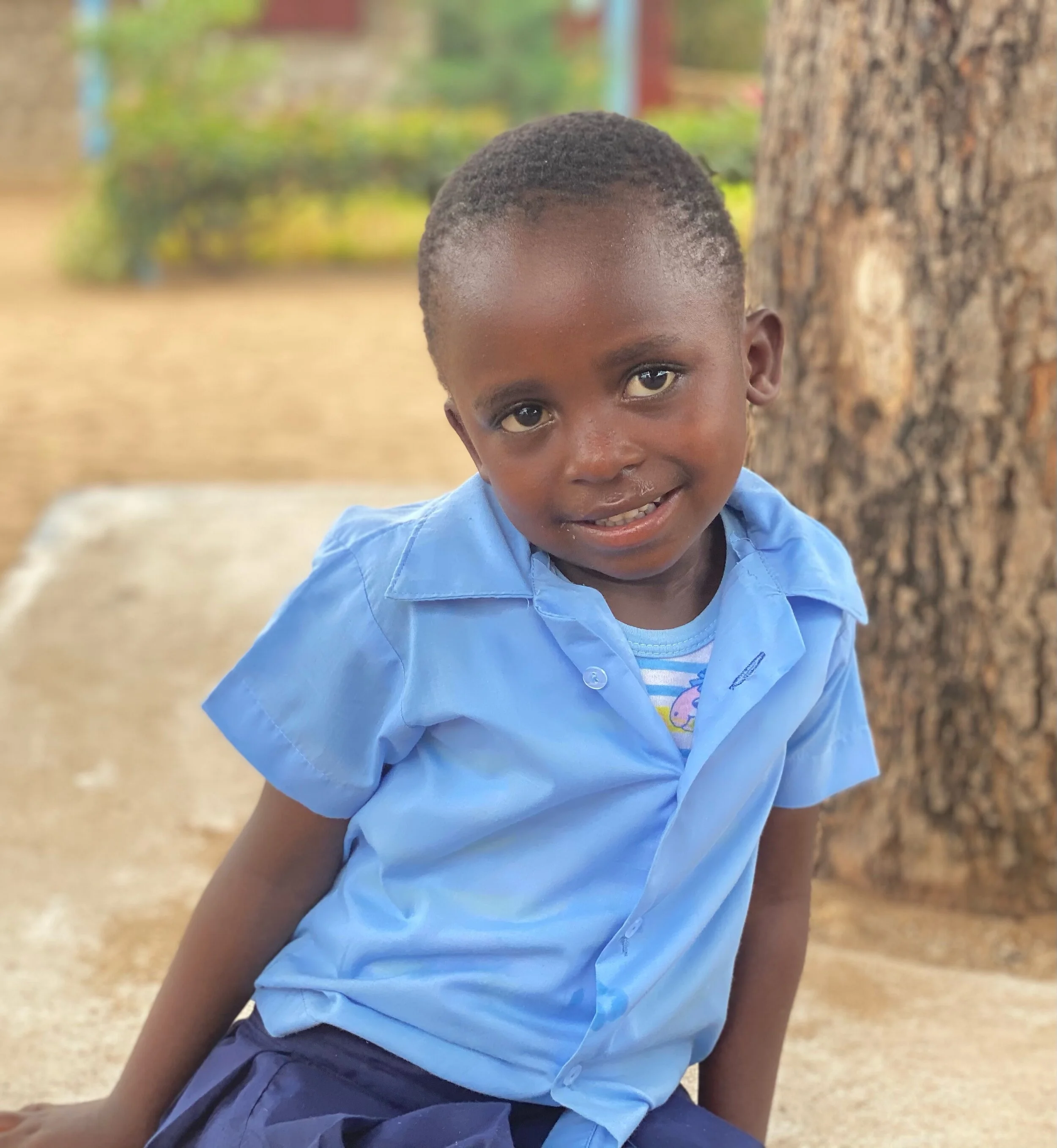 Texan BC (3 year old girl)