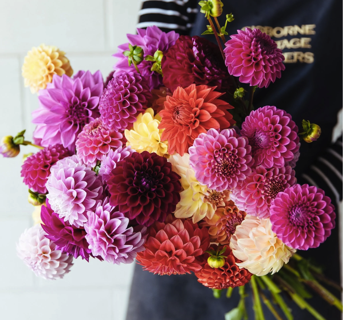 Gisborne florist, weddings & events - Gisborne Cottage Flowers