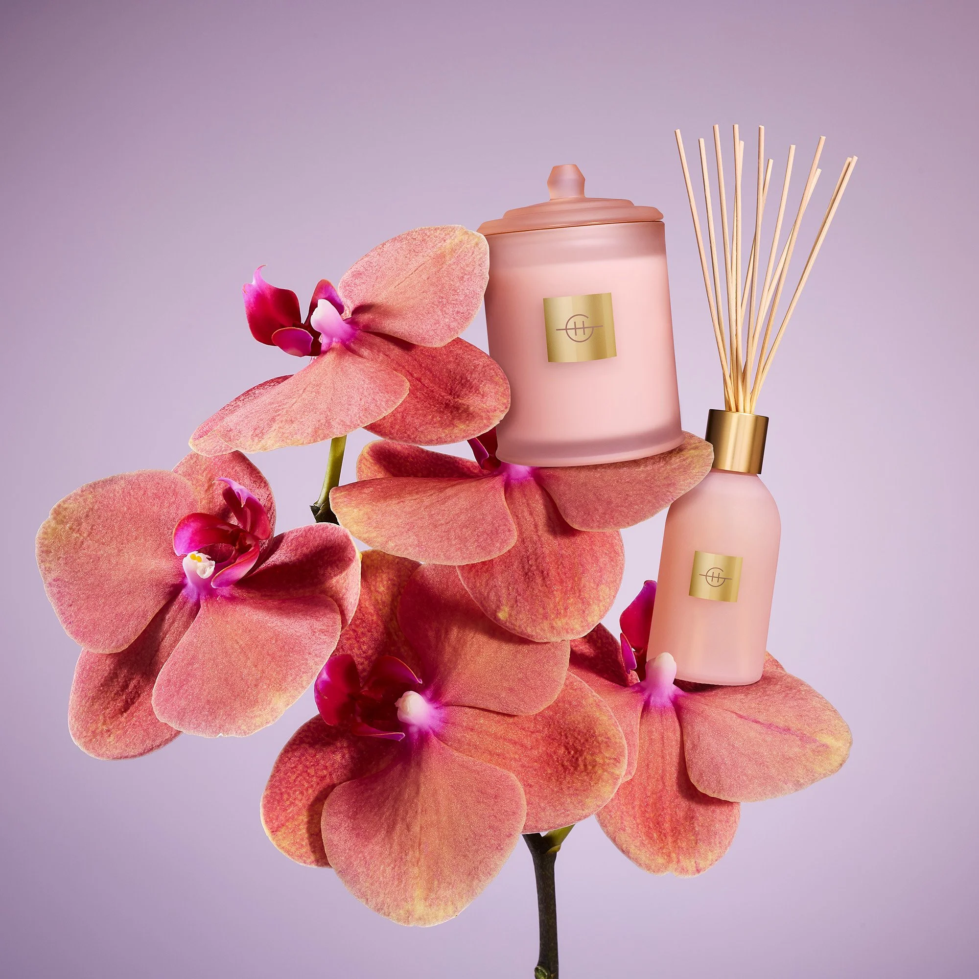 Glasshouse MD 26 -83983_R1.jpg