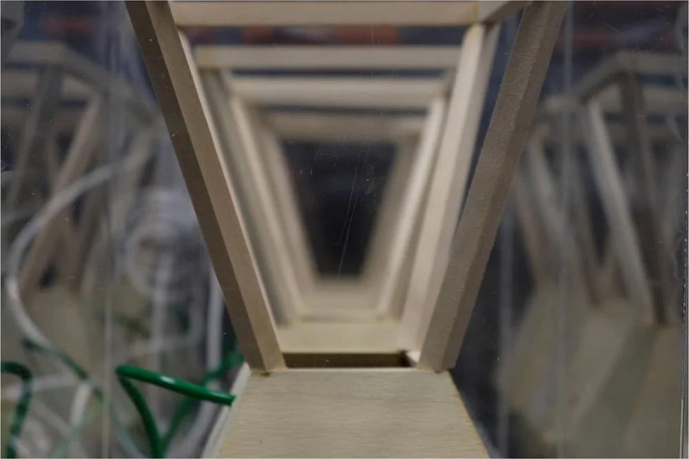 Plant Humidity Experiment — Harinder Dhanesar