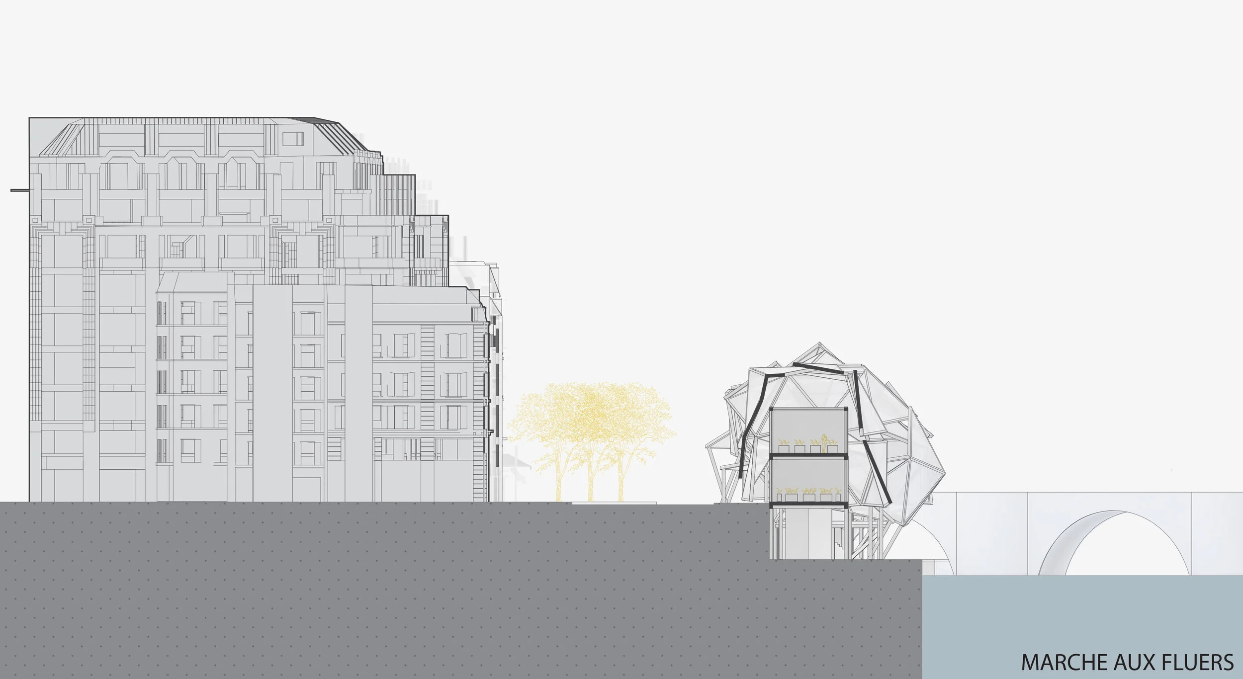 DHANESAR_HARINDER_ SECTION 3-01.jpg