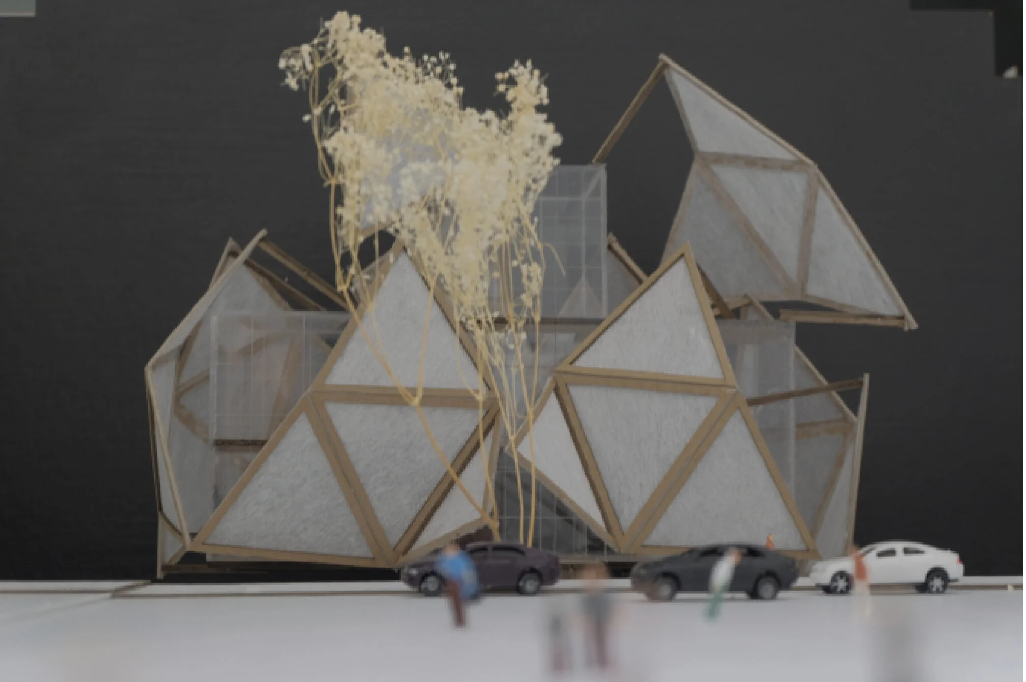 DHANESAR_HARINDER_ MODEL PHOTO 4-01.jpg