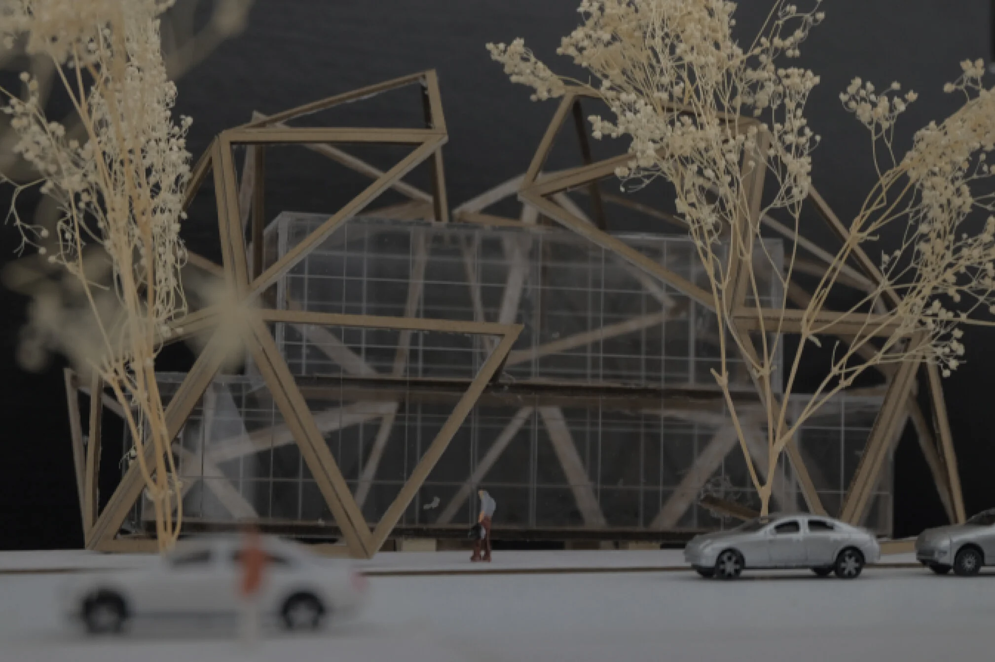 DHANESAR_HARINDER_ MODEL PHOTO 2-01.jpg