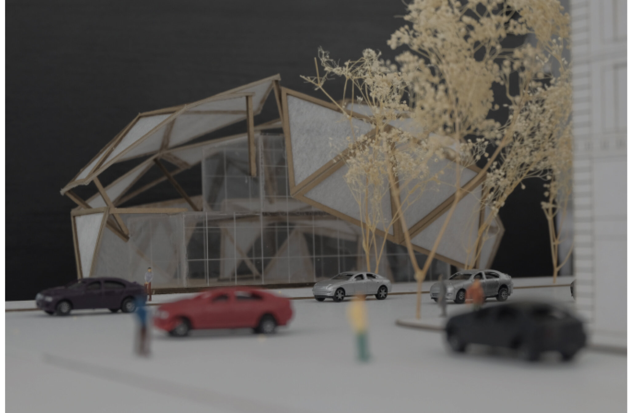 DHANESAR_HARINDER_ MODEL PHOTO 1-01.jpg