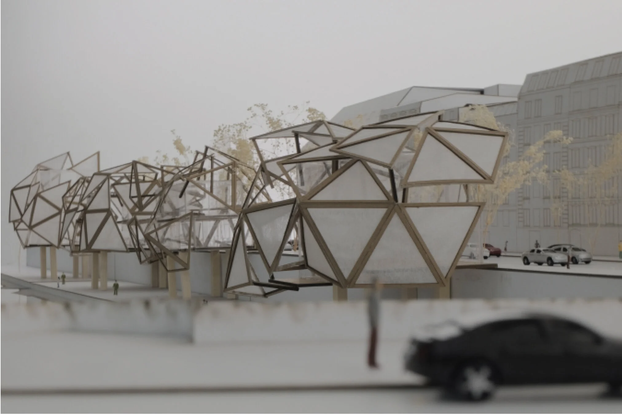 DHANESAR_HARINDER_ MODEL PHOTO 8-01.jpg