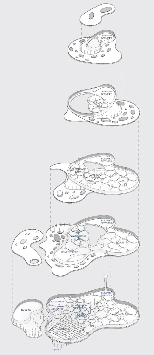 The Mussel Plains2.jpg