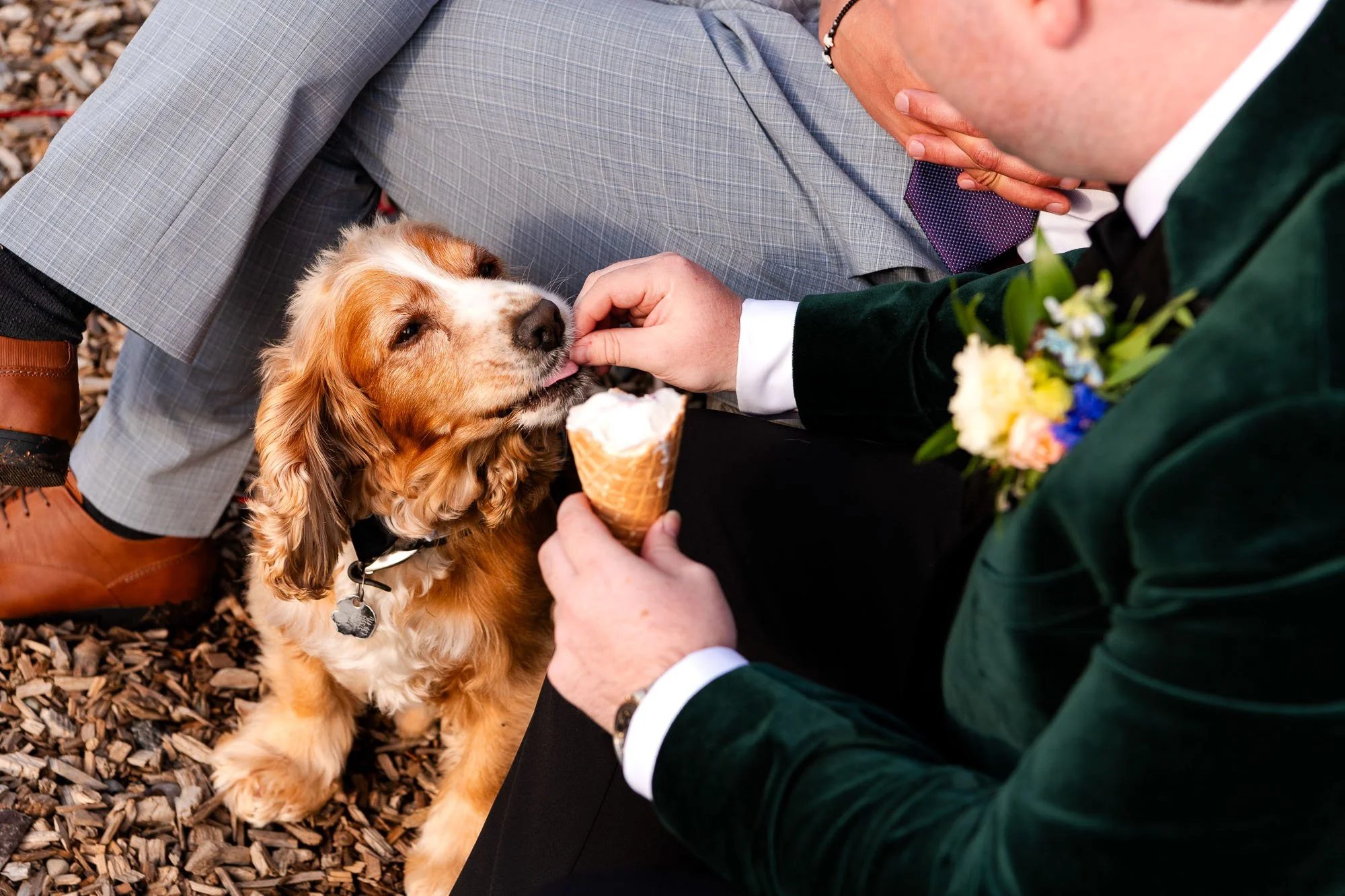 A man in a green velvet jacket and white shirt feeding a dog a treat while holding an ice cream cone, with another person in gray plaid pants sitting nearby.