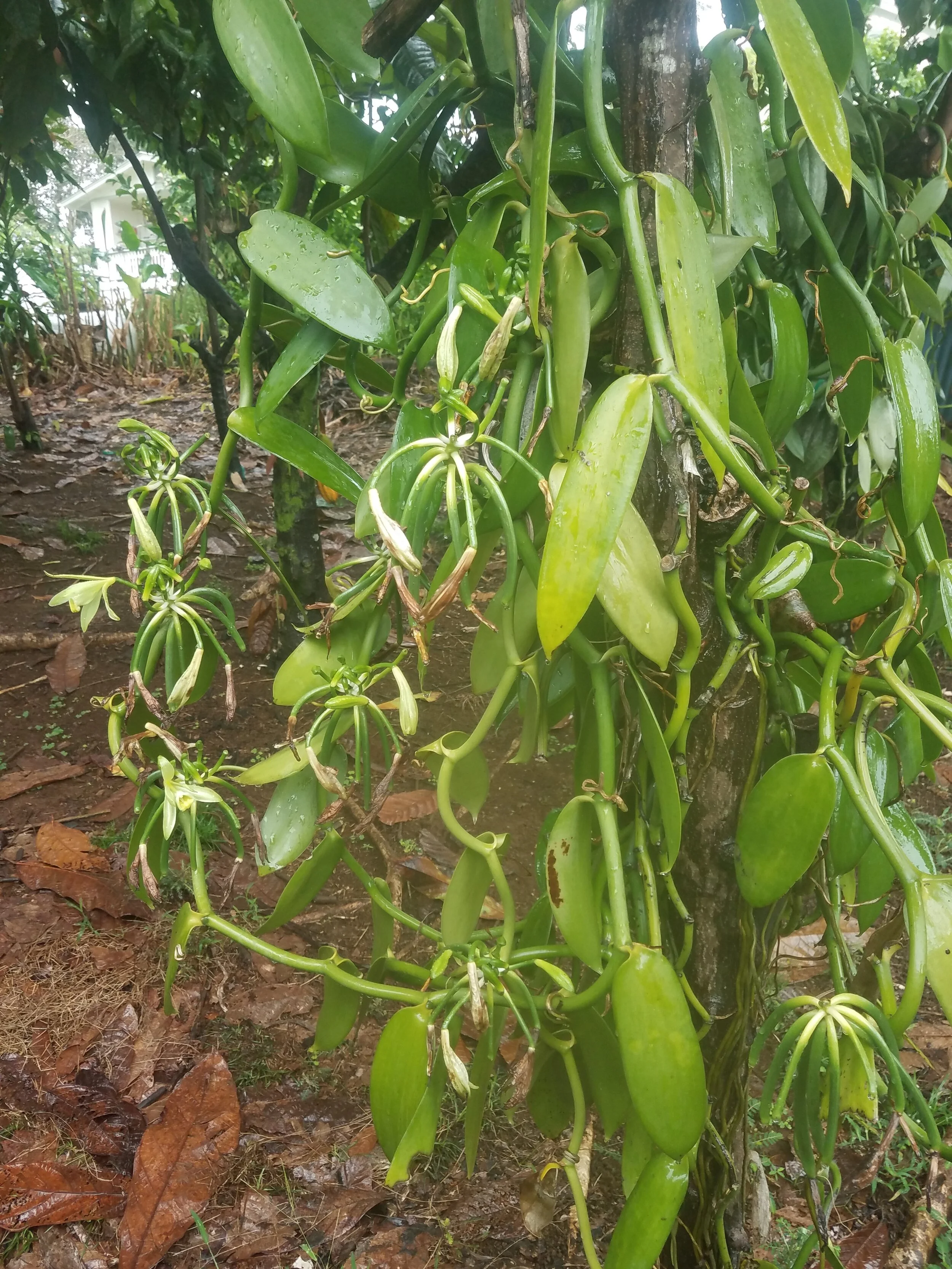 20180413_081044.jpg