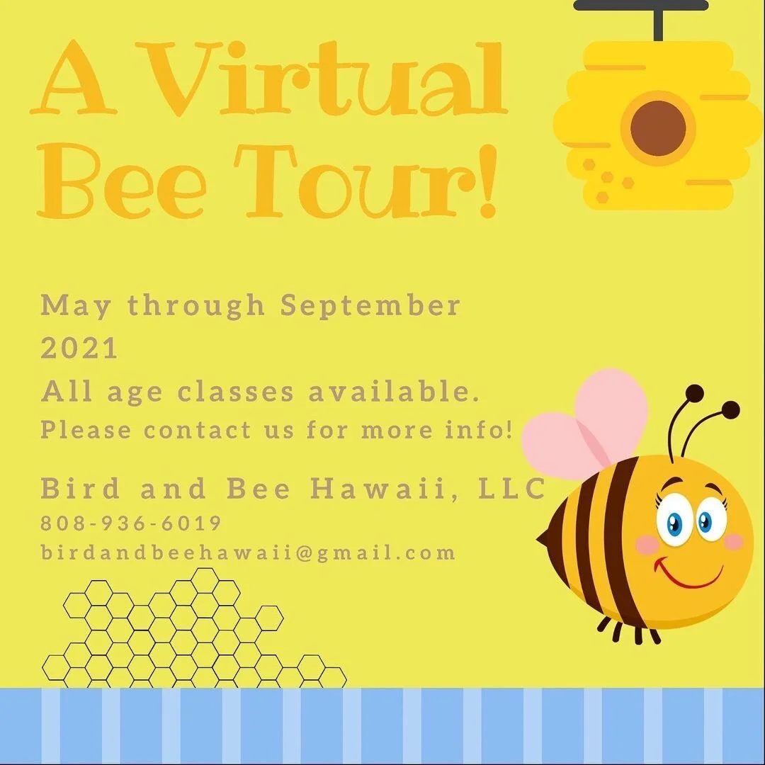 Bird and Bee Hawaii — HAWAIʻI FARM TRAILS
