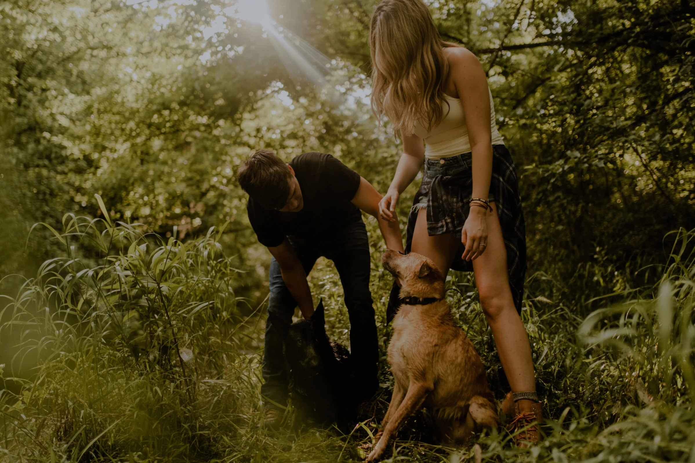 Nature Engagement Photos. A woman and man standing in a forest with their two dogs, one black and one golden, during daylight with sunlight filtering through the trees.